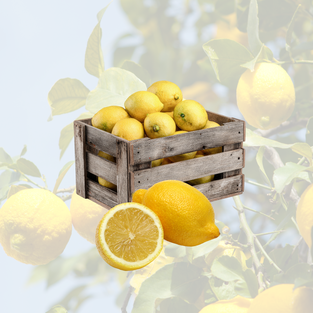 Limón Valenciano 1,20 €/Kg
