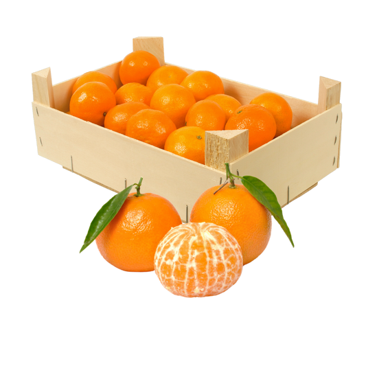 Mandarina de tamaño Mezclado 1,20 €/kg