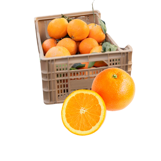 Naranja Navelina | Naranja de Mesa 1.20€/KG