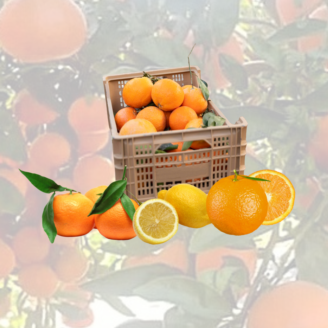 Caja de Cítricos | Naranja Navelate / Mandarina Clemenules / Limón