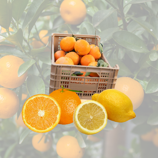 Caja de Cítricos | Naranja Navelate y Limón