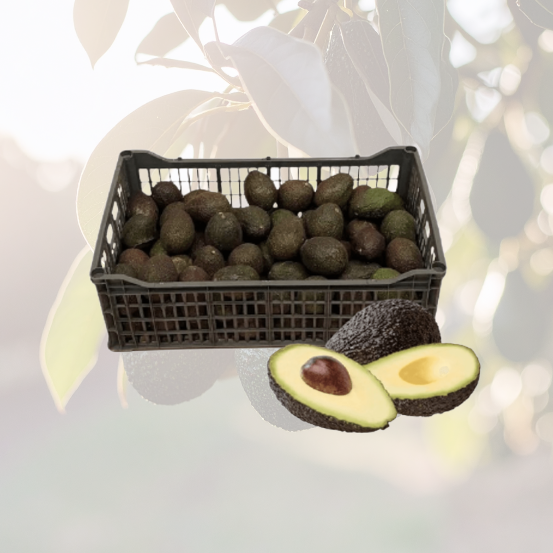 Aguacate Lamb Hass - 3.5 kg