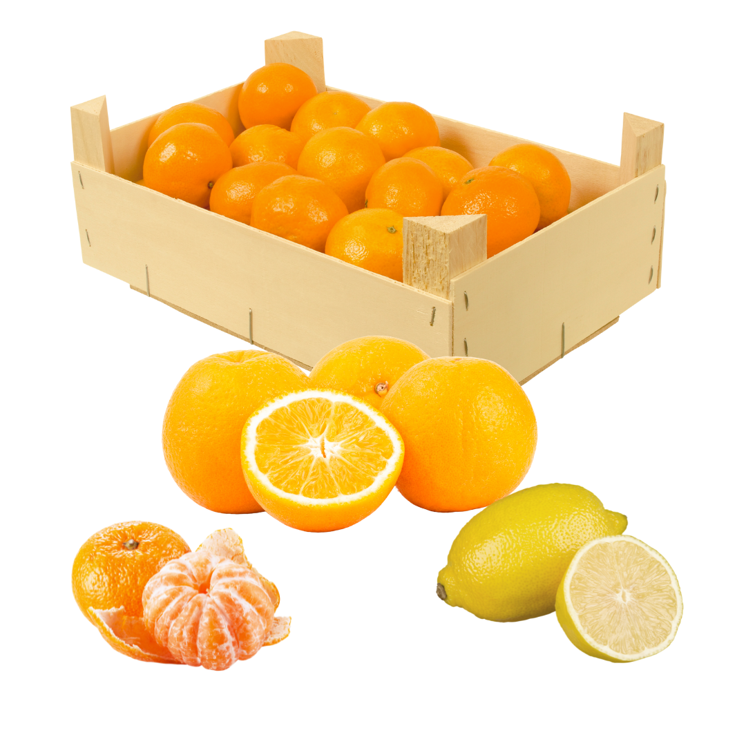 Caja de Cítricos | Naranja de mesa | Mandarina | Limón