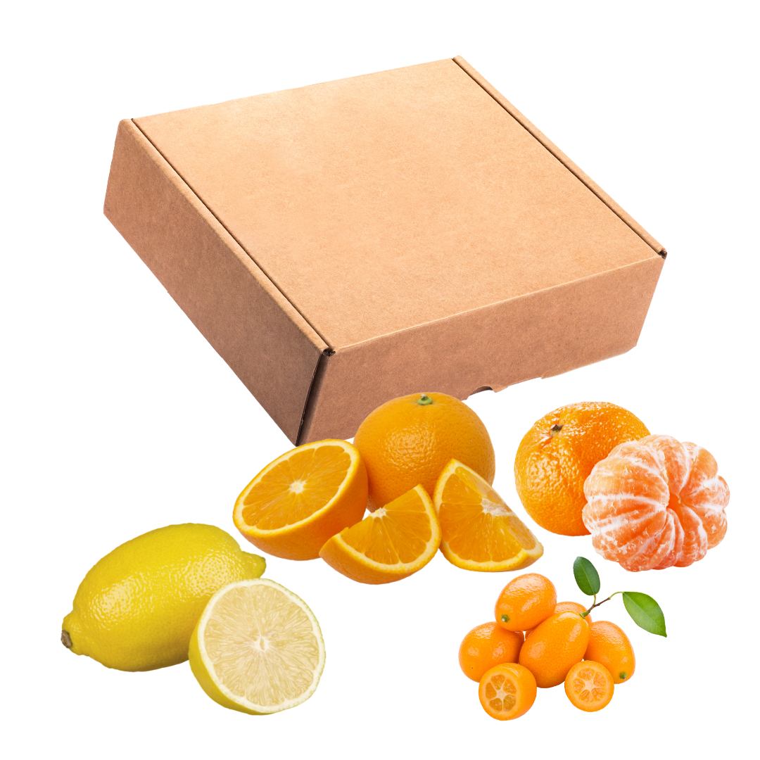 4.5 kg Mix Cítricos | 2 kg Mandarina | 1 kg Limón | 1 kg  Naranja | 0.5 kg Kumquat